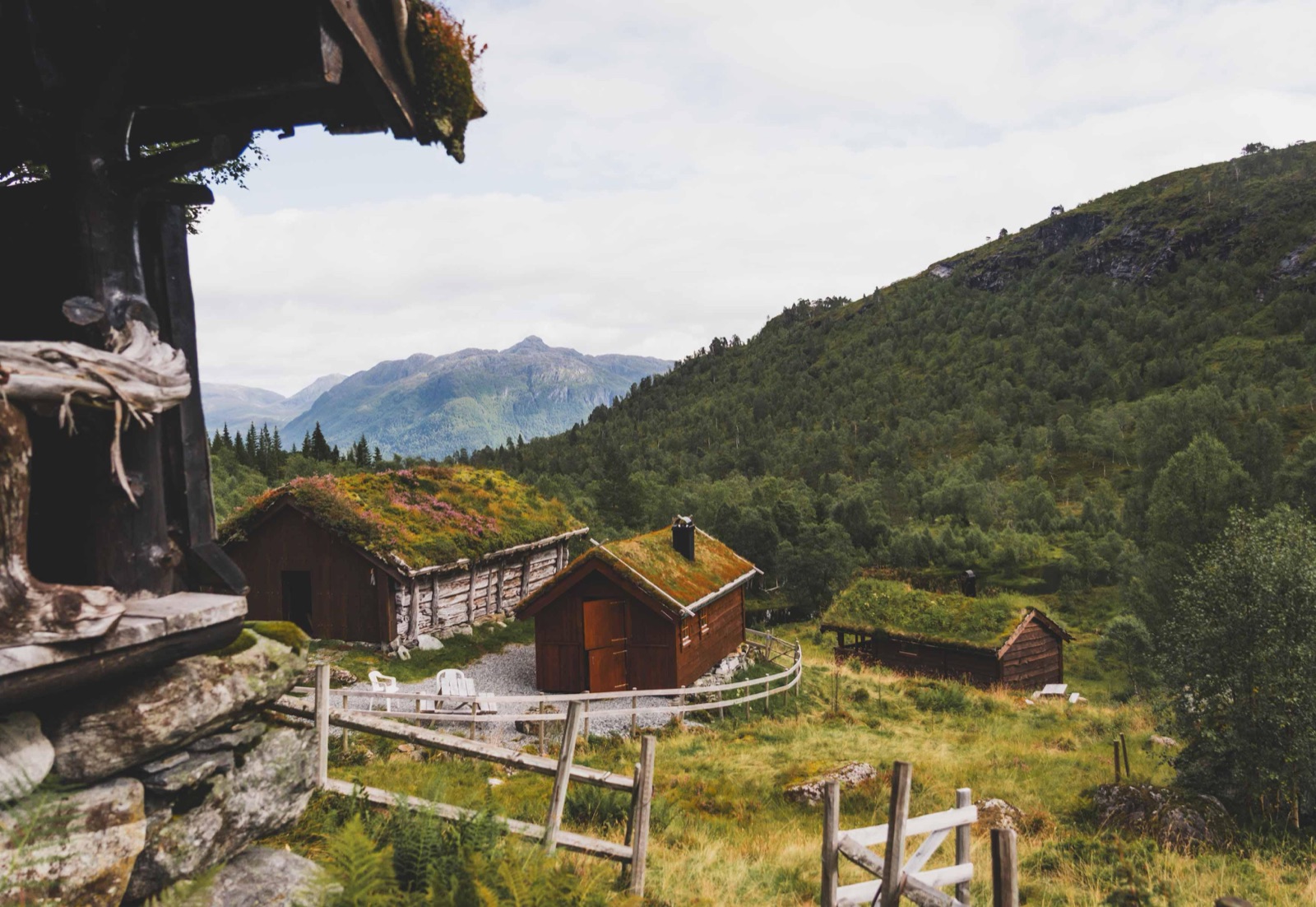 A Norwegian tun: grass-roofed timber huts around a small gravel yard, mountains behind